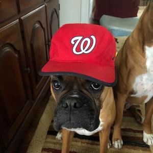 Meet your Posher, Virginia